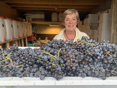 ontstelen oogst 2025